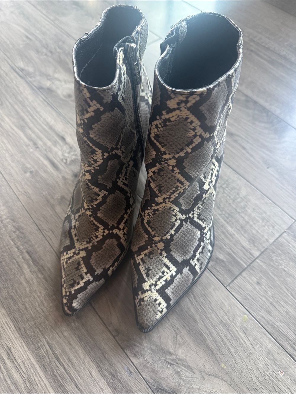 Circus by Sam Edelman Snake-Print Pointed Ankle Boots - Black & Gray